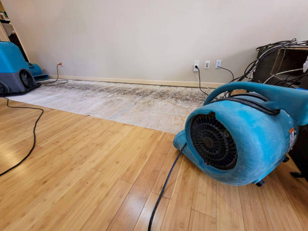 Professional Water Extraction technician working in Irons, MI